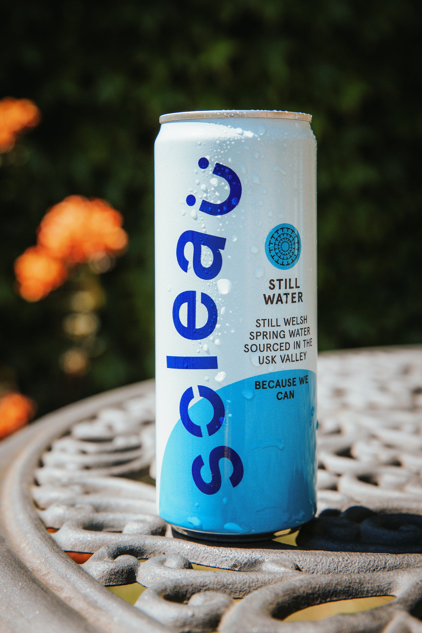 Soleau Still Spring Water 330ml Single Can