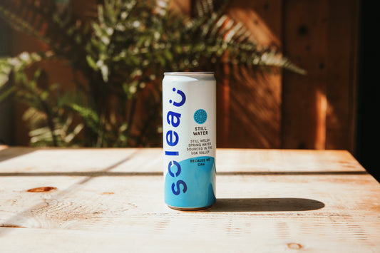 Soleau Still Spring Water 330ml x 24