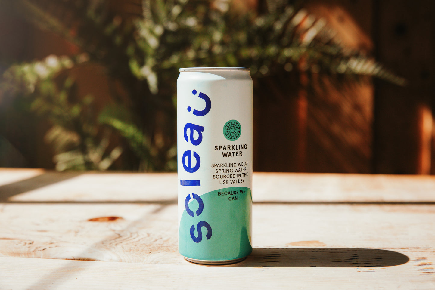 Soleau Sparkling Spring Water 330ml Single Can