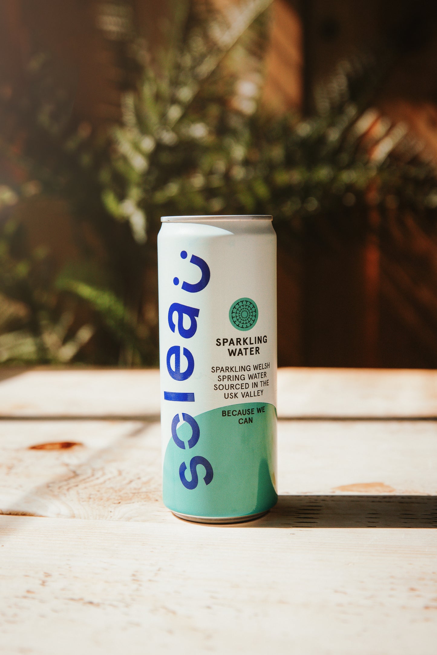 Soleau Sparkling Spring Water 330ml x 24